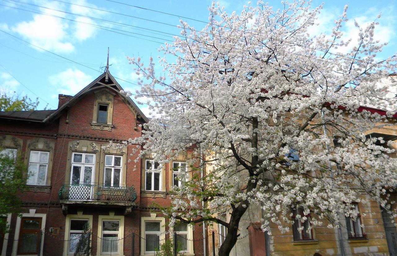 Studios At Anchevskih 3 Lwów Zewnętrze zdjęcie